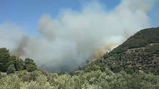 Incendio y evacuación en zona turística de la isla de Samos