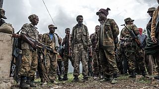 Des milices amharas sur le pied de guerre à l'ouest et au sud du Tigré