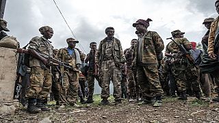 'We won't back down': Ethnic militias rush to Tigray border
