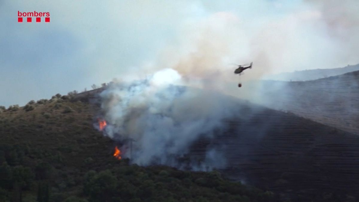 حريق غابات يجبر المئات على النزوح من منازلهم في إقليم كاتالونيا الإسباني 