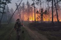 Les flammes ravagent les forêts en Sibérie