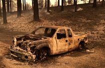 پیشروی آتش در غرب آمریکا؛ ۱۷۰ خانه و ساختمان در کالیفرنیا طعمه حریق شدند