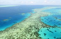 Ο Μεγάλος Κοραλλιογενής Ύφαλος και η Unesco
