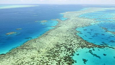 Patrimonio de la humanidad en riesgo: La Gran Barrera de Coral se salva de perder su categoría