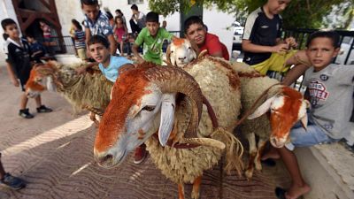 أطفال جزائريون في العاصمة في عيد الأضحى، الجزائر.