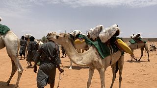 Meet Mauritania's Mehari National Guards
