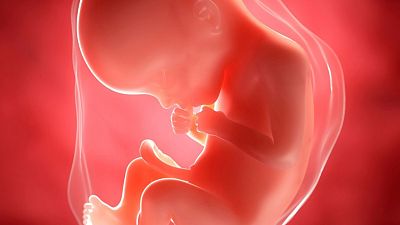 Children start experiencing the effects of carbon emissions from the womb