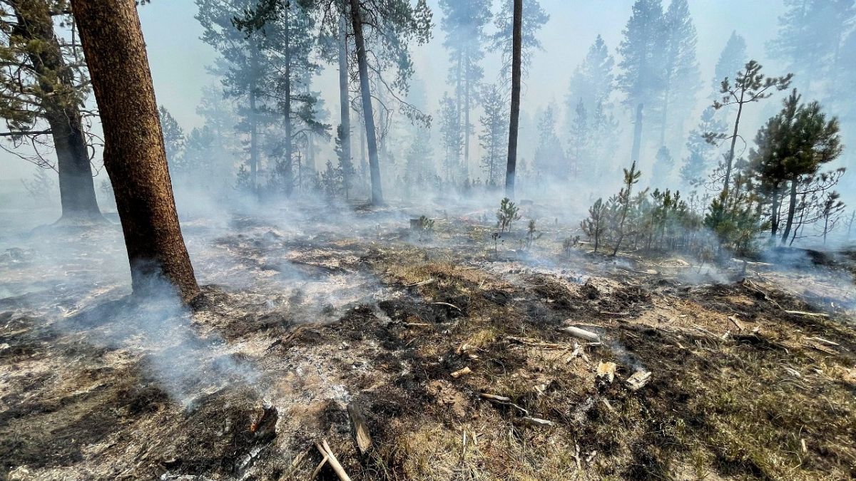 Plus de 2 000 pompiers luttent pour contenir le Bootleg Fire qui fait rage dans le sud de l'Oregon. Photo prise le 17 juillet 2021 près de Klamath Falls, Oregon.