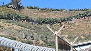 Maroc : plus de 200 migrants passent en Espagne par Melilla