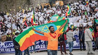 Rassemblement des partisans du gouvernement éthiopien