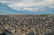 Patagonia, Argentina