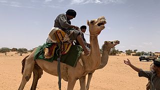 En Mauritanie, la police patrouille dans le désert à dos de dromadaire