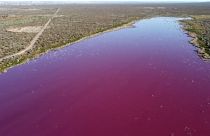 Argentine : un lagune colorée par une pollution industrielle en Patagonie