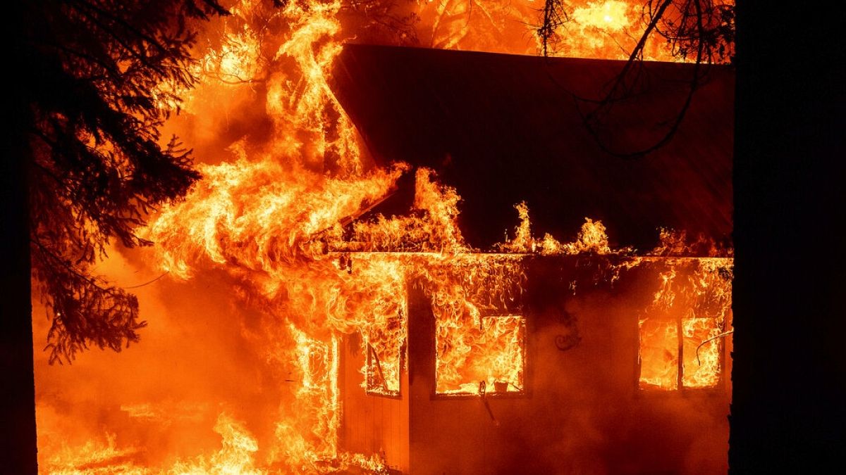 Emergenza incendi in California. Bruciano case e boschi 