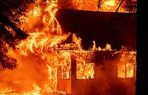 Emergenza incendi in California. Bruciano case e boschi