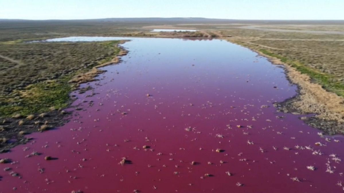 Industrieabfälle verfärben See in Argentinien