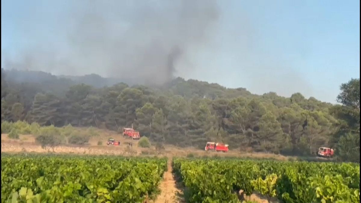 Incêndios no sul da Europa já queimaram milhares de hectares