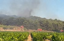 Lucha contra los incendios en España, Francia e Italia
