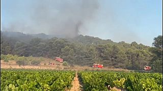 Спасатели тушат лесной пожар во Франции