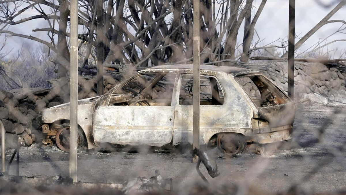 Sardegna devastata dagli incendi. Oltre 20.000 gli ettari in fumo. I principali roghi nell'oristanese. Fiamme anche nelle provincie di Nuoro e Sassari