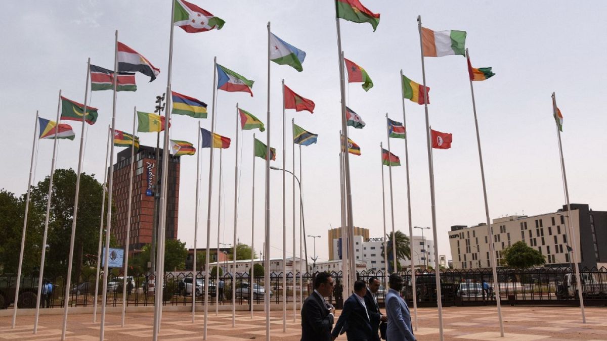  خلال قمة الاتحاد الأفريقي في النيجر عام 2019 