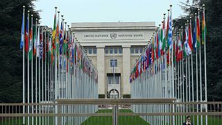 BM Cenevre Ofisi