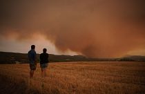 Residents look on as athe forest fire rages near Tarragona.