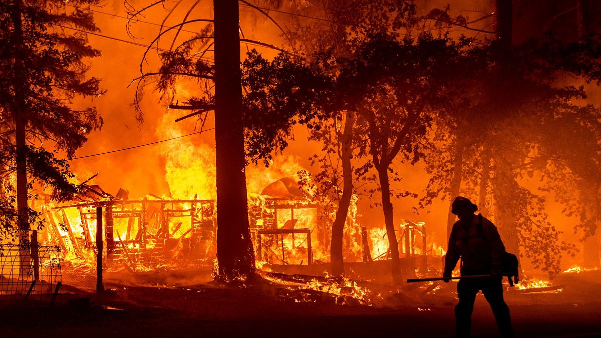 Kaliforniya'daki orman yangını
