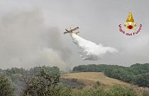 Un important feu de forêt frappe la Sardaigne