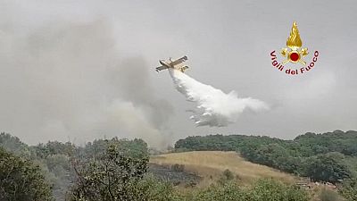 Un important feu de forêt frappe la Sardaigne 