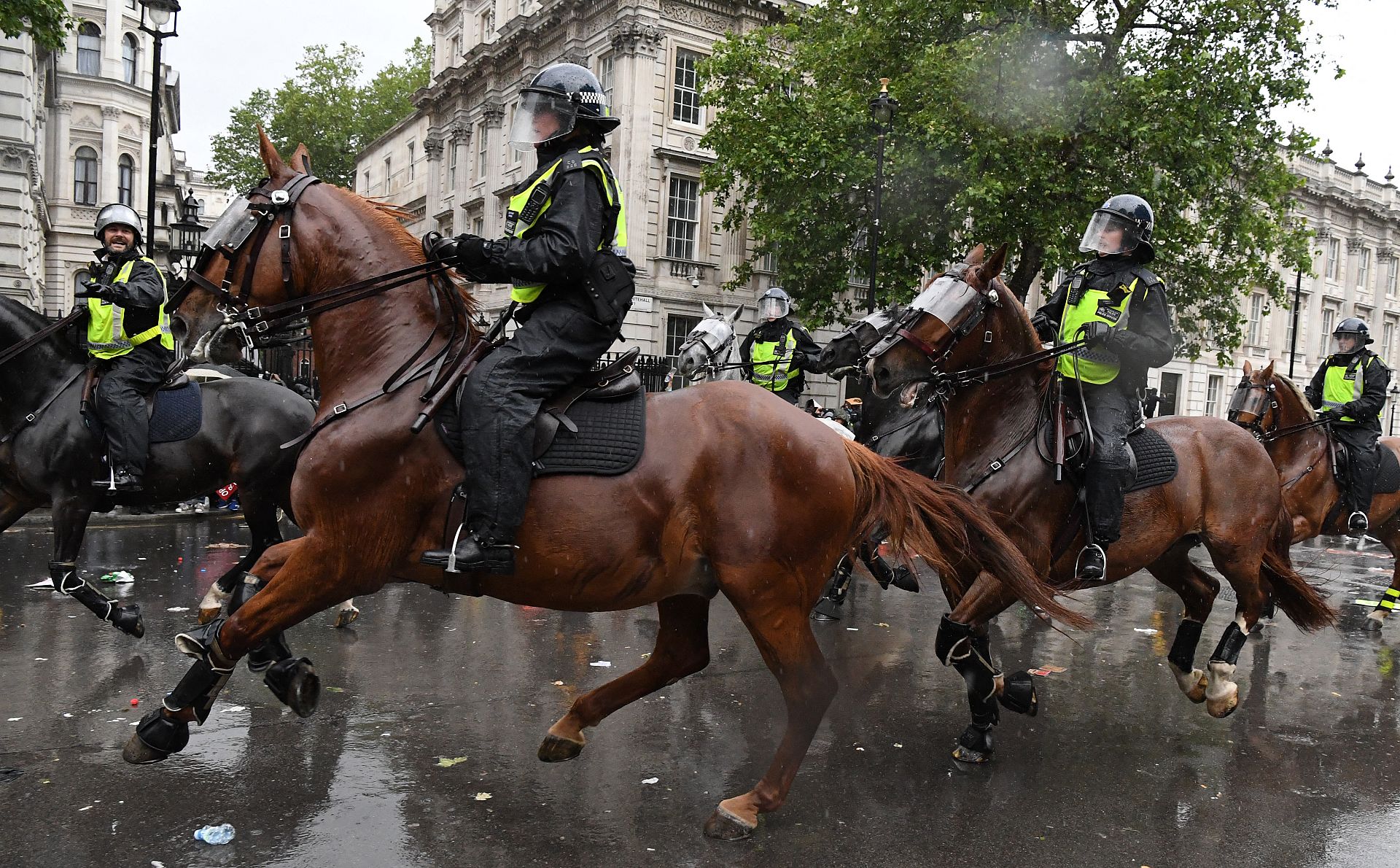 anti-lockdown-protesters-charged-with-animal-cruelty-after-punching