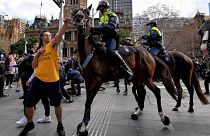 A protester tries to push away a police horse in Sydney during anti-lockdown protests, July 2021