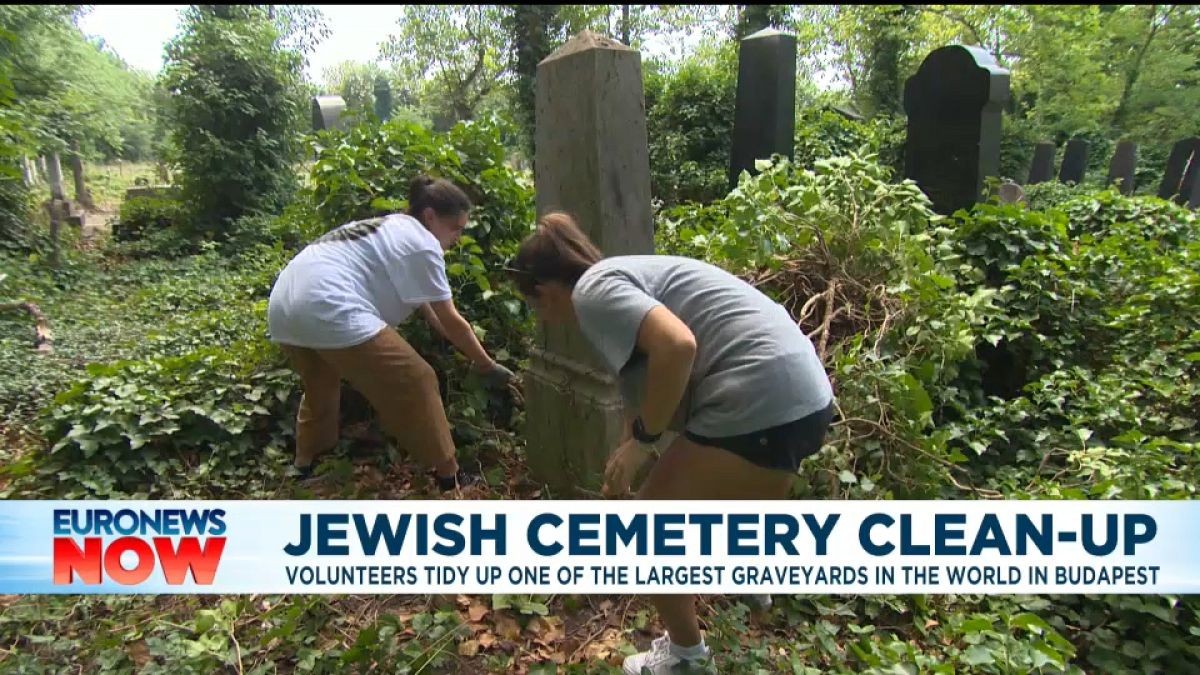 Volunteers clear the largest cemetery in Budapest, Hungary
