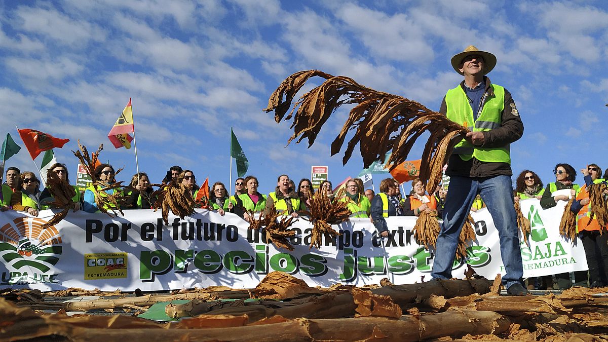 İspanya'da çiftçi protestosu (arşiv)