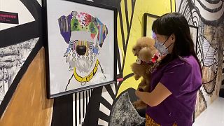 Exhibition for dogs displays artwork at their eye-level