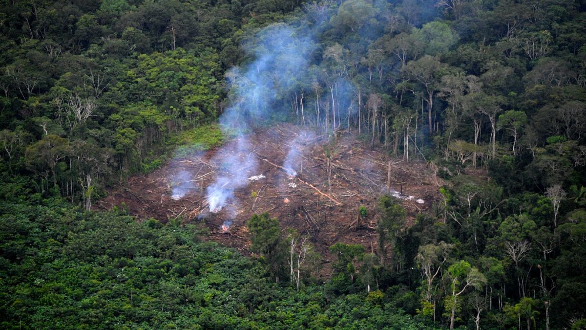 Vue aérienne de la déforestation illégale dans le parc national naturel de La Macarena, Colombie, le 3 septembre 2020.