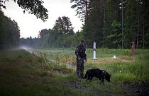 A member of the Lithuania State Border Guard Service patrols on the border with Belarus.