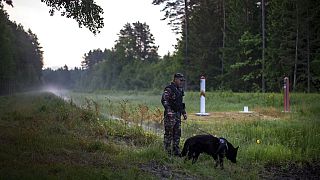 A member of the Lithuania State Border Guard Service patrols on the border with Belarus.