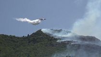 Villagers evacuated as firefighters combat wildfire in Peloponnese forests