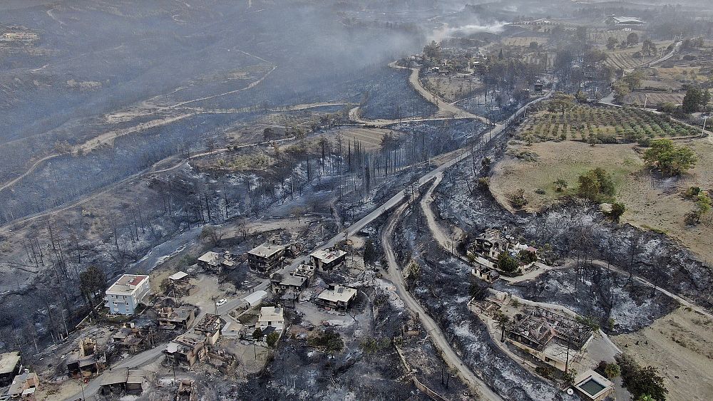 Three People Killed By Forest Fires In Turkey As Homes ...
