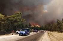 Starke Winde fachen die Waldbrände in der Region Antalya immer wieder aufs Neue an