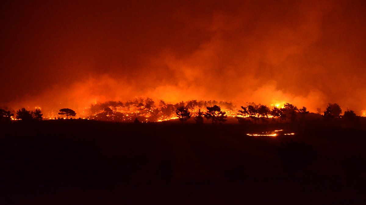 Manavgat'ta başlayan orman yangını