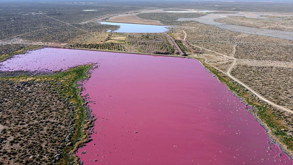 "Autorizan el envenenamiento de la gente", los ecologistas denuncian un vertido tóxico en Argentina - Vimarsana News