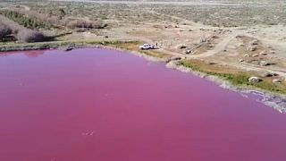 بحيرة قريبة من مدينة تريليو بمقاطعة تشوبوت جنوب الأرجنتين أصبح لون المياه فيها ورديّ نتيجة التلوث