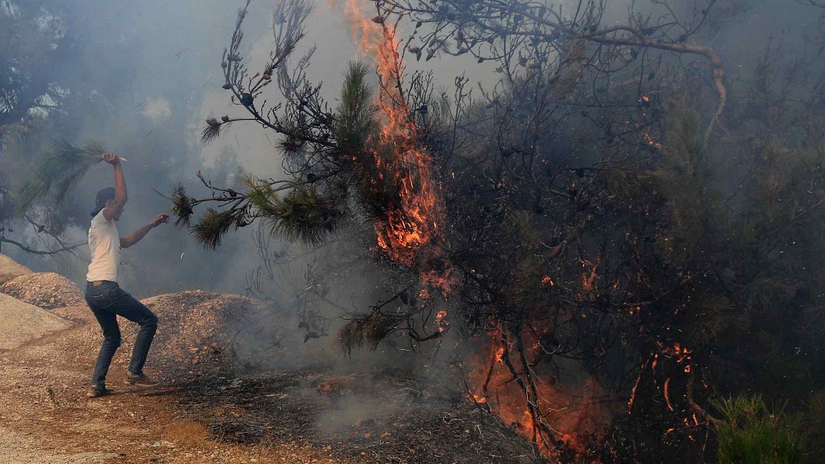 رجل يحاول إطفاء حريق غابة في قرية القبيات بمحافظة عكار شمال لبنان، الخميس 29 تموز 2021