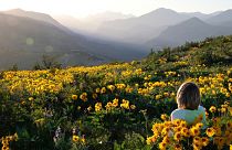 Nature isn't a fix-all solution, but it helps our wellbeing