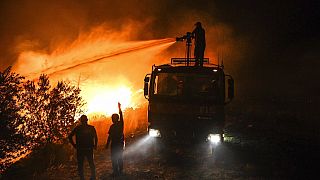 Лесные пожары на юге Европы