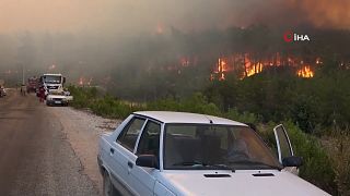 Manavgat'ta orman yangınları dört gündür devam ediyor