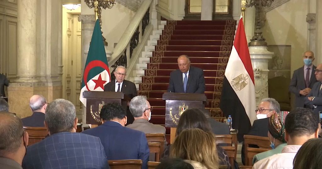 Egypt, Algeria foreign ministers meet in Cairo, discuss Tunisia crisis
