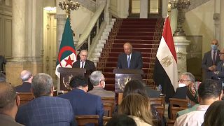 Egypt, Algeria foreign ministers meet in Cairo, discuss Tunisia crisis